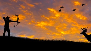 Pennsylvania holds first Sunday big game hunt in 338 years, more to come