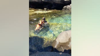 Fisherman catches huge 57-pound grouper off Canary Islands