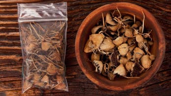 Magic mushrooms could help treat depression, study finds