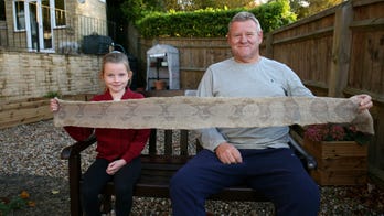 Girl finds boa constrictor’s shed skin, prompting fears of massive snake on the loose