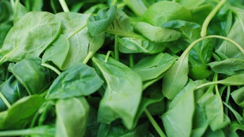 Baby spinach recalled over salmonella concerns