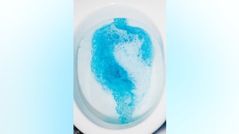 Toddler may have ingested toilet cleaner before death, investigation reveals