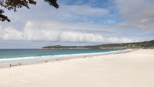 Texas mom helps hero who saved daughter from drowning fund dream wedding