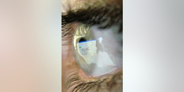 A Google search page is reflected in the eye of a computer user in Leicester, central England, July 20, 2007.