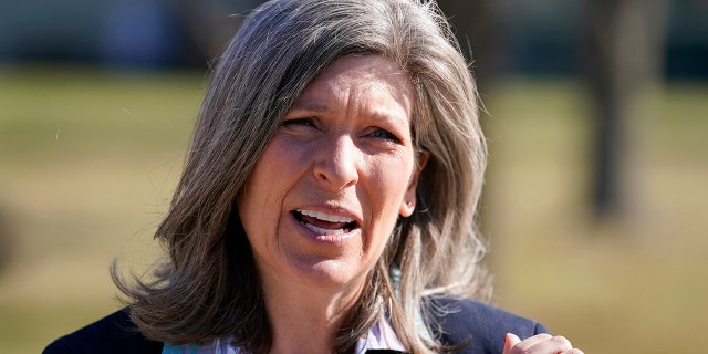 Republican Senator Joni Ernst in Red Oak, Iowa. (AP Photo/Charlie Neibergall)
