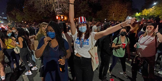 Revelers celebrate in Fort Greene park after former vice president and Democratic presidential candidate Joe Biden was announced as the winner over President Donald Trump to become the 46th president, Nov. 7. (AP Photo/Mary Altaffer)