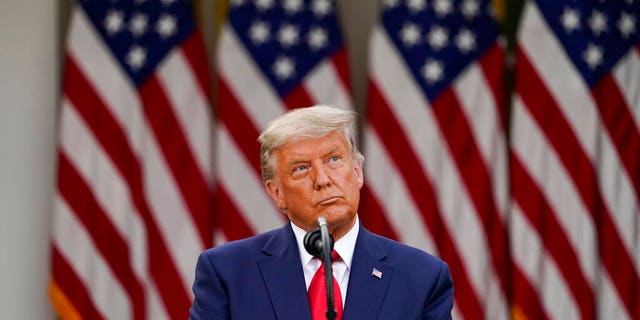 On November 13, President Donald Trump speaks at the White House Rose Garden in Washington. (AP Photo / Ivan Vuchi, File)