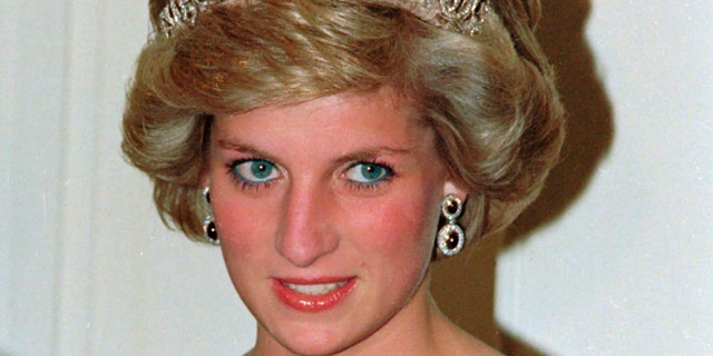 Le prince Harry a déclaré qu'il pouvait assurer la sécurité de sa famille grâce à l'argent que sa défunte mère, la princesse Diana, avait laissé derrière lui.