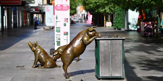 Sculptures of pigs are displayed in a nearly empty pedestrian mall in Adelaide, Australia, Thursday, Nov. 19, 2020. (David Mariuz/AAP Image via AP)