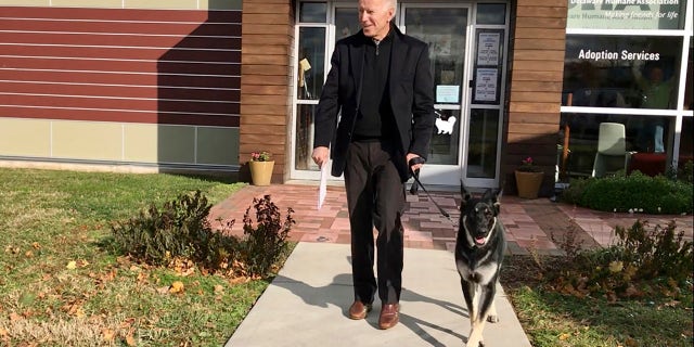 President Biden’s two German shepherds have been moved out of the White House after one of them reportedly bit a member of the White House security staff. (Stephanie Carter/Delaware Humane Association via AP)