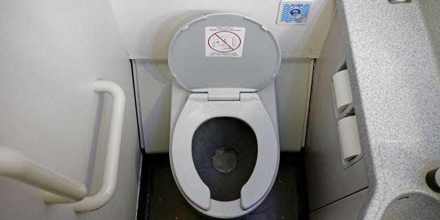 Some might see an airplane toilet. One TikTok user, tuttavia, saw a grill waiting to be fired up.