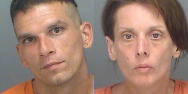 (Pinellas County Sheriff's Office)