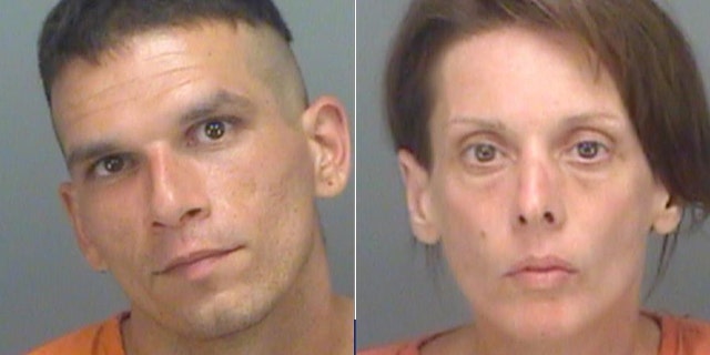 (Pinellas County Sheriff's Office)