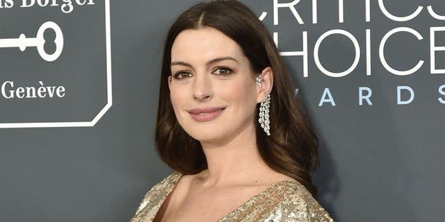 Anne Hathaway published an apology to the limb difference community after her character from 'The Witches' was criticized. (Photo by David Crotty/Patrick McMullan via Getty Images)