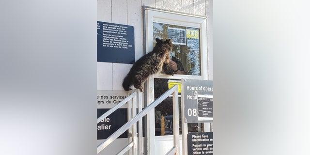 The Border Services Agency used this incident as an opportunity to remind U.S. residents that travel to Canada for non-essential reasons is <a href="https://www.cbsa-asfc.gc.ca/travel-voyage/td-dv-eng.html" target="_blank">currently prohibited</a> ​​​​​.