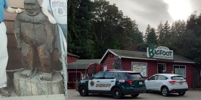 A Bigfoot statue was stolen sometime on Monday from the Bigfoot Discovery Museum in Felton, 牛犊.
