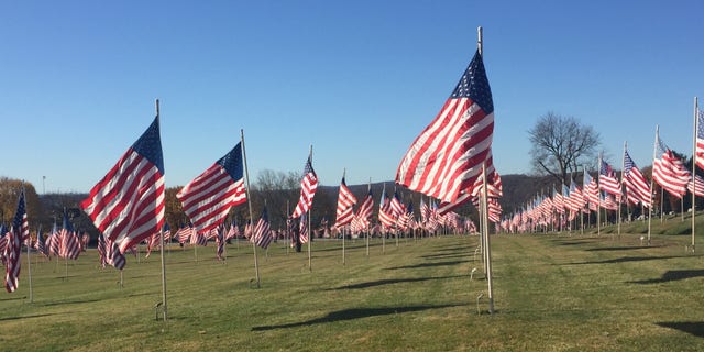 Flags on display at Blairsville Cemetery, Blairsville, Penn. (Photo by Dan Kelley, Blairsville Cemetery Board of Directors)