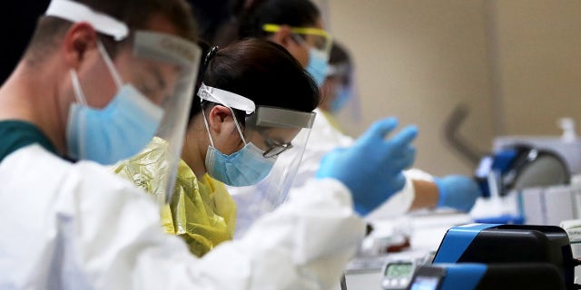COVID antigen testers at UW-Eau Claire Monday in Eau Claire, Wisconsin. The test is for those who are asymptomatic and takes about 20 minutes from the time the swab is taken until the results come back. (David Joles/Star Tribune via Getty Images)
