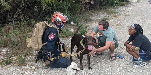 Paramedic Bob Luddy rescued Stout after the dog fell off a 70-foot cliff in Austin Texas.  