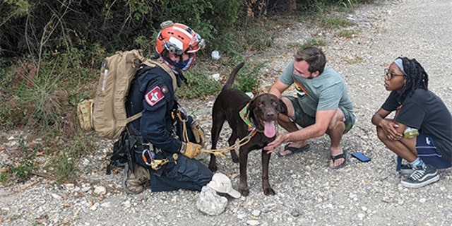 Paramedic Bob Luddy rescued Stout after the dog fell off a 70-foot cliff in Austin Texas.