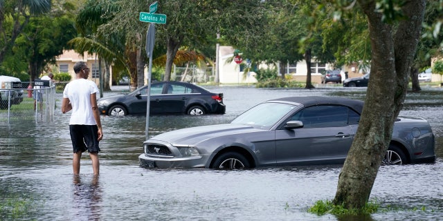 A man walks a flooded street in his neighborhood, Monday, Nov. 9, 2020 in Fort Lauderdale, Fla.