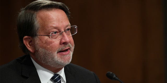 Senator Gary Peters during the Senate Homeland Security and Governmental Affairs Committee on Aug. 6, 2020 in Washington, D.C. (Toni Sandys/Pool via REUTERS)