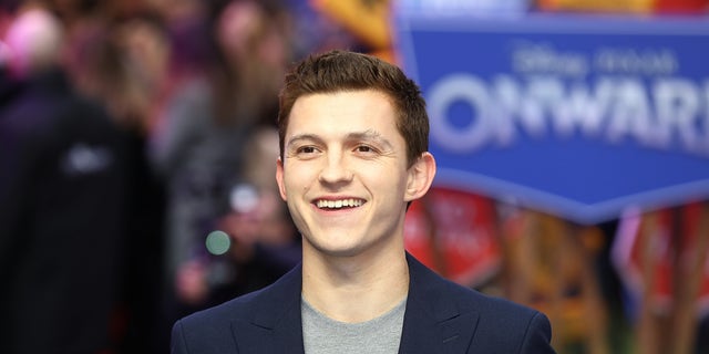 Actor Tom Holland is reminding fans to wear their PPE amid the coronavirus pandemic. (Photo by Tim P. Whitby/Getty Images)