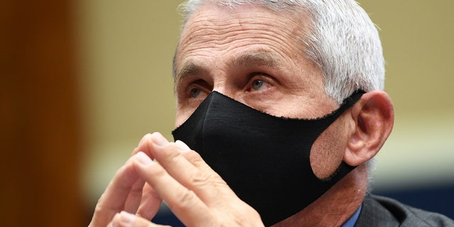 Dr. Anthony Fauci, director of the National Institute of Allergy and Infectious Diseases, waits to testify at a hearing of the U.S. House Committee on Energy and Commerce on Capitol Hill on June 23, 2020 in Washington, DC. (Photo by Kevin Dietsch-Pool/Getty Images)