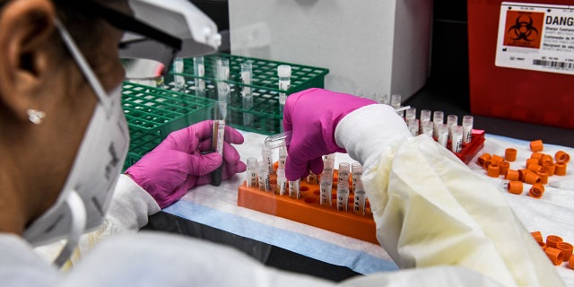 A lab technician sorts blood samples inside a lab for a COVID-19 vaccine study at the Research Centers of America in Hollywood, Florida, on Aug. 13, 2020. (Photo by CHANDAN KHANNA/AFP via Getty Images)