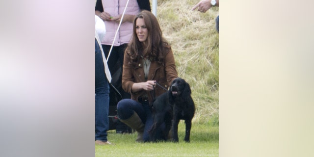 Catherine, Duchess of Cambridge and Lupo in a polo match in 2012.
