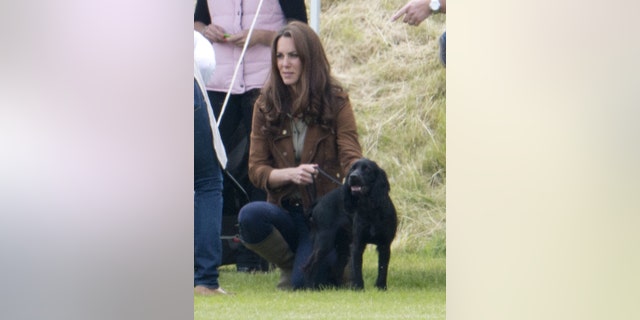 Catherine, Duchess of Cambridge and Lupo in a 2012 polo match (Mark Cuthbert / UK Press via Getty Images)