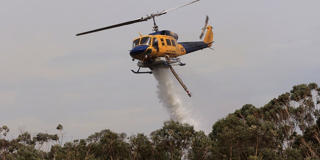 SYDNEY, AUSTRALIA - NOVEMBER 29: Helicopters are seen water bombing an out of control bushfire at Northmead on November 29, 2020 in Sydney, Australia. The Bureau of Meteorology has forecast heatwave conditions in NSW this weekend, with temperatures expected to exceed 40 degrees across the state. (Photo by Jenny Evans/Getty Images)