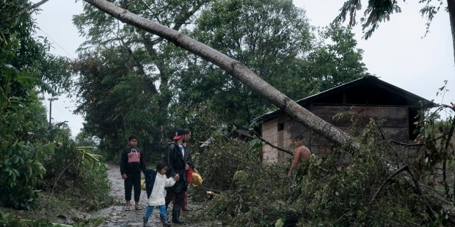 A fallen tree lies on the road after the passage of Hurricane Iota in Siuna, Nicaragua, Tuesday, Nov. 17, 2020. Hurricane Iota tore across Nicaragua on Tuesday, hours after roaring ashore as a Category 4 storm along almost exactly the same stretch of the Caribbean coast that was recently devastated by an equally powerful hurricane.