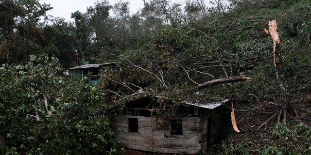 Fallen tree branches cover a house after the passage of Hurricane Iota in Siuna, Nicaragua, Tuesday, Nov. 17, 2020. Hurricane Iota tore across Nicaragua, hours after roaring ashore as a Category 4 storm along almost exactly the same stretch of the Caribbean coast that was recently devastated by an equally powerful hurricane.