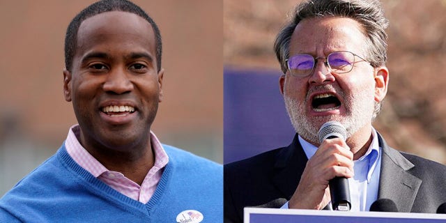 Where things stand in ongoing battle for control of Senate, 4 races up in the air 7 John James (R) and Gary Peters (D)