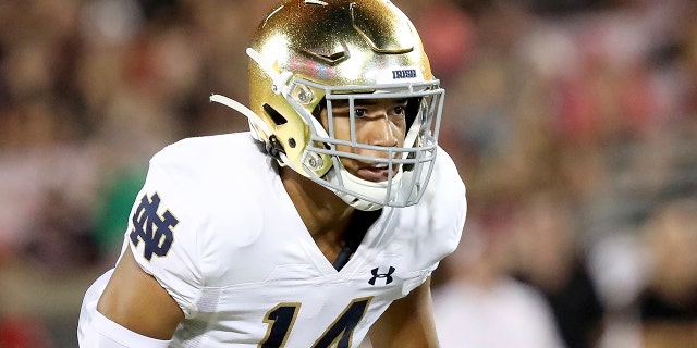 Notre Dame defensive back Kyle Hamilton during an NCAA football game on Monday, Sett. 2, 2019, in Louisville, Ky. (AP Photo/Tony Tribble)