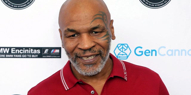 Mike Tyson has slammed Hulu's upcoming biopic series, calling it a 'cultural misappropriation' of his story. (Photo by Willy Sanjuan/Invision/AP, File)