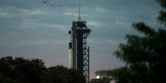 A SpaceX Falcon 9 rocket with the company's Crew Dragon spacecraft onboard is seen on the launch pad at Launch Complex 39A as preparations continue for the Crew-1 mission, Sunday, Nov. 15, 2020, at NASA's Kennedy Space Center in Cape Canaveral, Florida. (Joel Kowsky/NASA via AP)