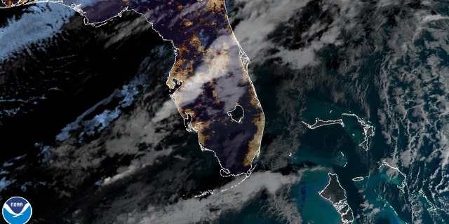 NOAA satellite image of Florida Nov. 30, 2020.
