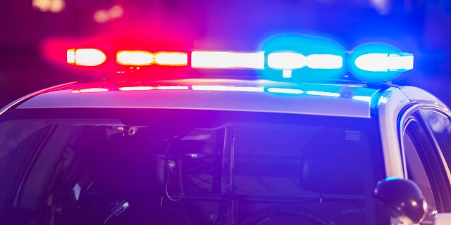 The roof of a police patrol car at night, with the blue and red lights flashing.