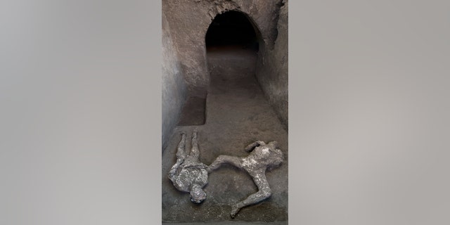 Officials say that the remains were found near the ancient villa's cryptoporticus, or covered gallery.