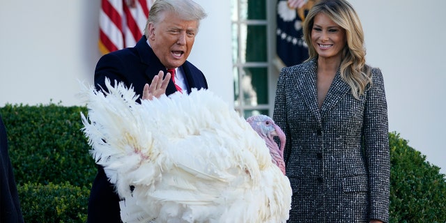 President Donald Trump pardons Corn, the national Thanksgiving turkey, in the Rose Garden of the White House on Nov. 24 as first lady Melania Trump watches. (AP Photo/Susan Walsh)