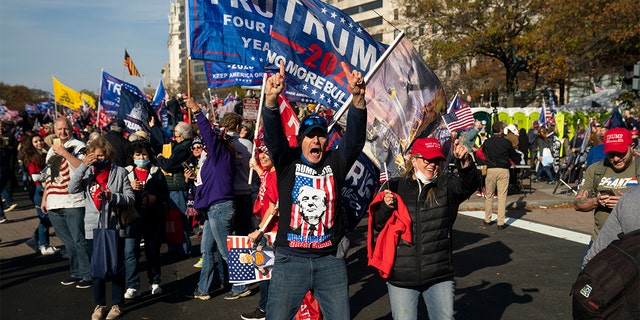 Supporters of President Donald Trump cheer as his motorcade drives past a rally of supporters near the White House, Saturday, Nov. 14, 2020, in Washington. (AP Photo/Evan Vucci)