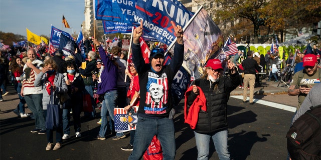 Supporters of President Donald Trump cheer as his motorcade drives past a rally of supporters near the White House, Saturday, Nov. 14, 2020, in Washington. (AP Photo/Evan Vucci)