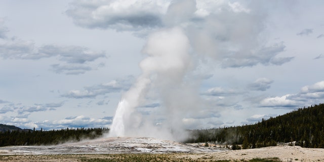 A man was banned from Yellowstone National Park after he admitted to cooking chickens in a thermal geyser. (iStock)