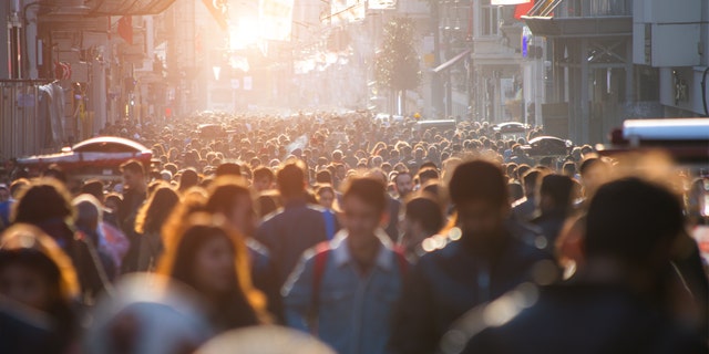 To date, Sweden has recorded more than 230,000 virus cases and roughly 6,500 deaths from the disease, according to estimates from Johns Hopkins University. (iStock)