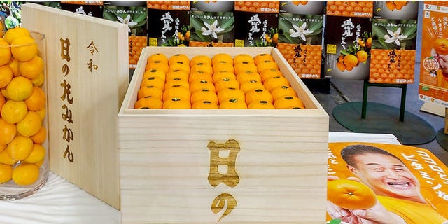 A 100-piece crate of mandarin orangers was sold for 1 million Japanese yen at an auction held at Ota Market. (JA Nishiuwa Agricultural Cooperative)