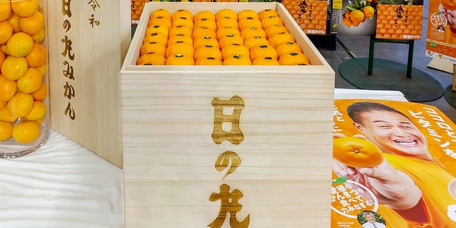 A 100-piece crate of mandarin orangers was sold for 1 million Japanese yen at an auction held at Ota Market. (JA Nishiuwa Agricultural Cooperative)