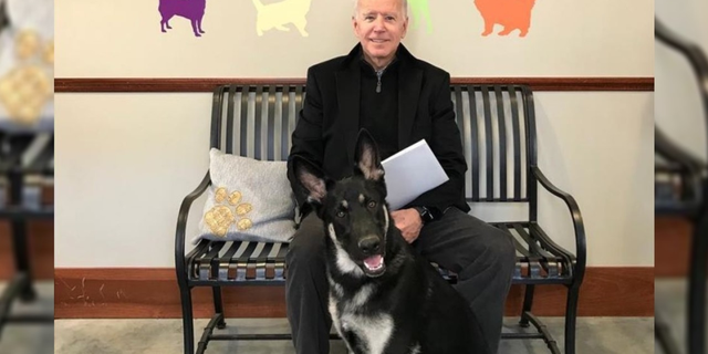 President-elect Joe Biden and his dog, Major.