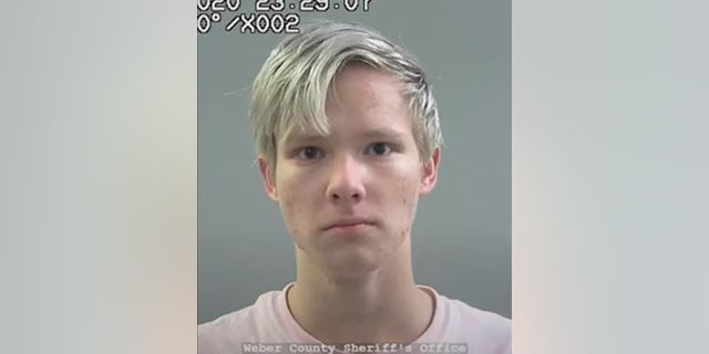 Gavin Johansen, 18, was charged with aggravated assault against a peace officer, possession of a firearm by a restricted person and aggravated assault. (Weber County Sheriff's Office)
